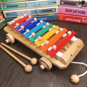 Baby Xylophone Car- Sensory toys