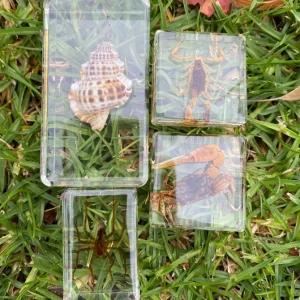 Best montessori toys Land & Sea Animals & Insects in resin - 4 piece set