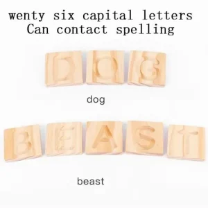 Best Montessori Wooden Letter Spelling Tiles - Best alphabet learning toys