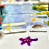 Fish and Fish Skeleton Set In Resin - Best Montessori