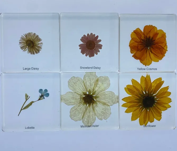 flowers_in_resin__best_m_0.webp 6 Flowers in Resin - Best Montessori Toys