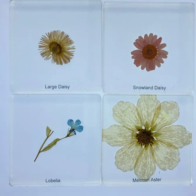 flowers_in_resin__best_m_1.webp 6 Flowers in Resin - Best Montessori Toys