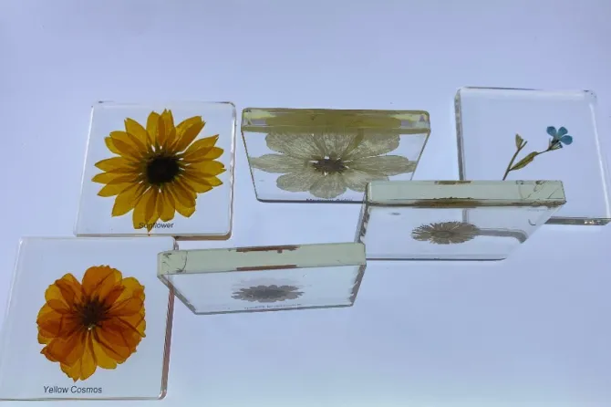 flowers_in_resin__best_m_2.webp 6 Flowers in Resin - Best Montessori Toys