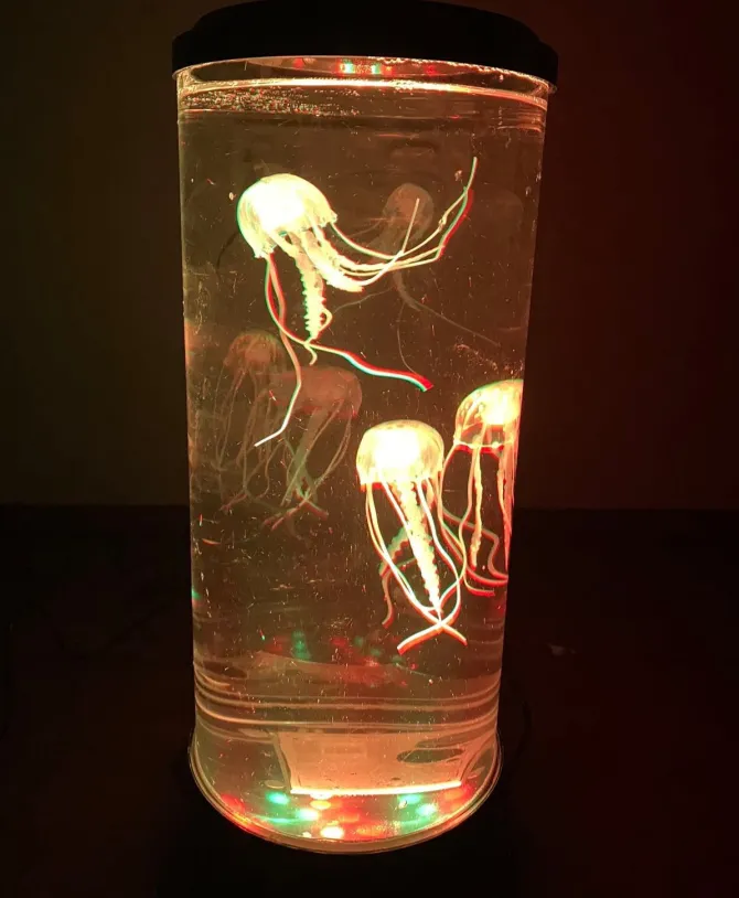 large_jellyfish_sensory_l_4.webp Large Jellyfish Sensory Light - Best Sensory Toys