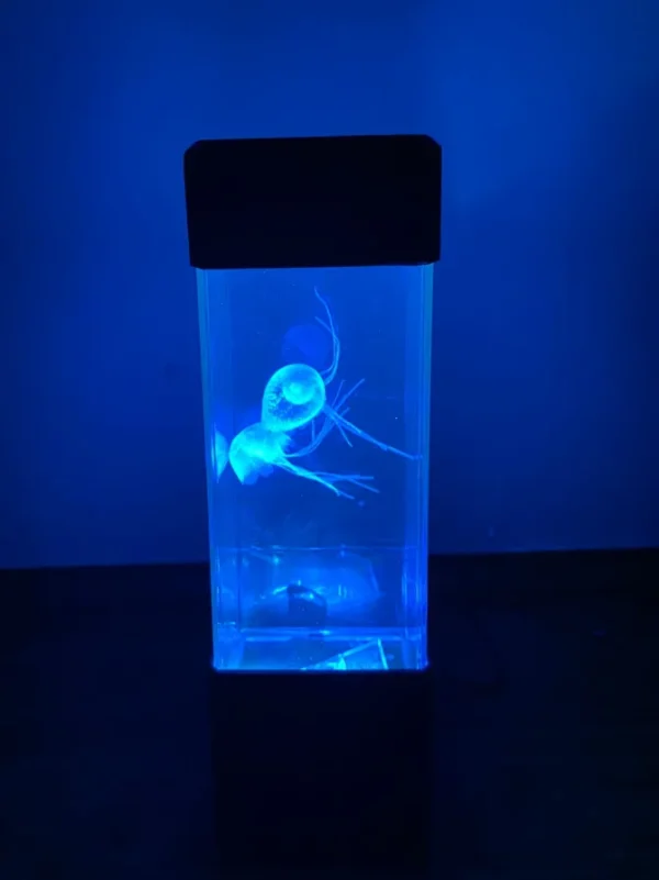 Mini Colourful Sensory Light - Best Sensory Toys