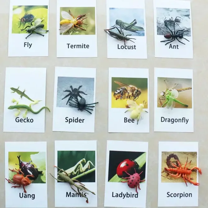 montessori_animals_and_in_1.webp Montessori Animals and Insects Figurines - Montessori Educational Toys