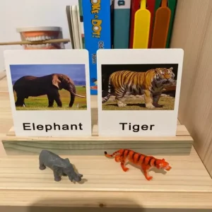 Montessori Animals and Insects Figurines - Montessori Educational Toys