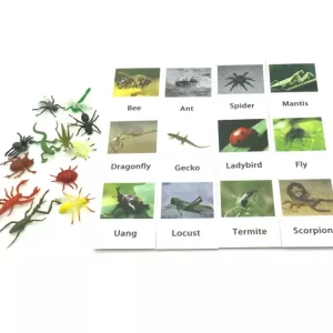 Montessori Animals and Insects Figurines - Montessori Educational Toys