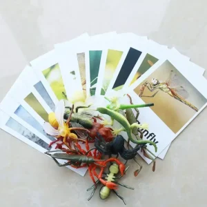 Montessori Animals and Insects Figurines - Montessori Educational Toys