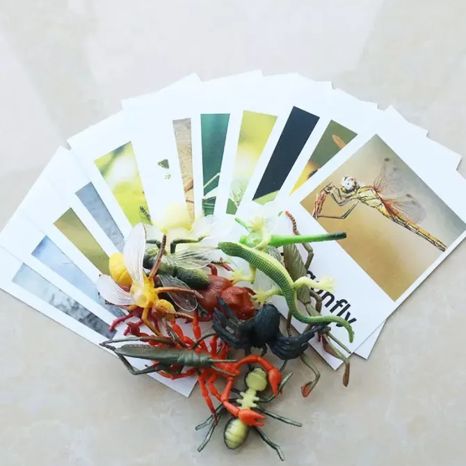 montessori_animals_and_in_3.webp Montessori Animals and Insects Figurines - Montessori Educational Toys