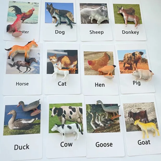 montessori_animals_and_in_5.webp Montessori Animals and Insects Figurines - Montessori Educational Toys