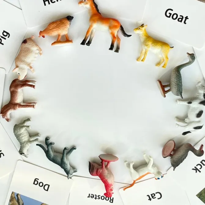 montessori_animals_and_in_6.webp Montessori Animals and Insects Figurines - Montessori Educational Toys