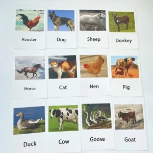 Montessori Animals and Insects Figurines - Montessori Educational Toys