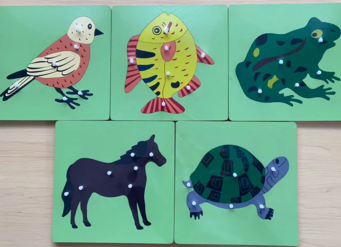 montessori_animals_and_pl_1.webp Montessori Animals And Plants Puzzle- The best Montessori Toys