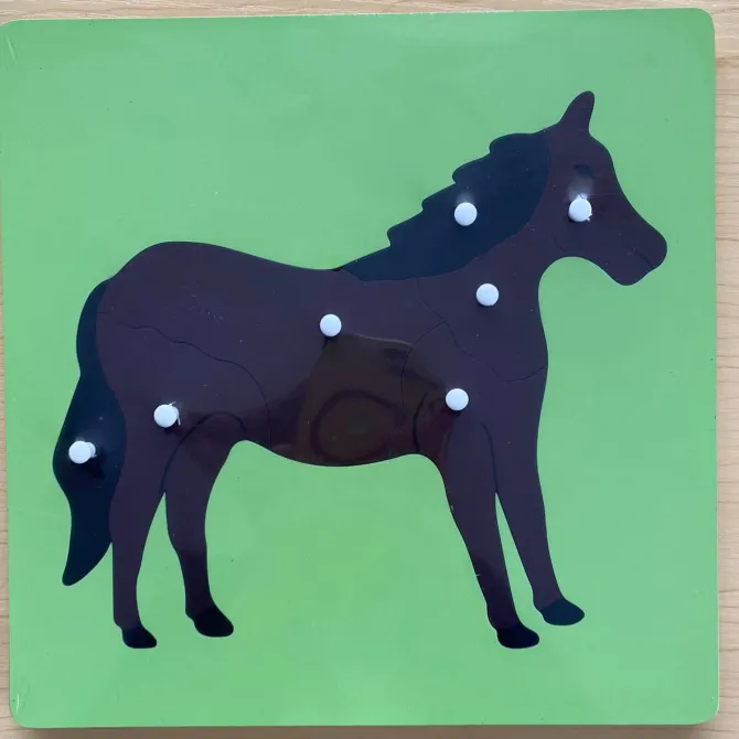 montessori_animals_and_pl_3.webp Montessori Animals And Plants Puzzle- The best Montessori Toys