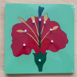 Montessori Animals And Plants Puzzle- The best Montessori Toys