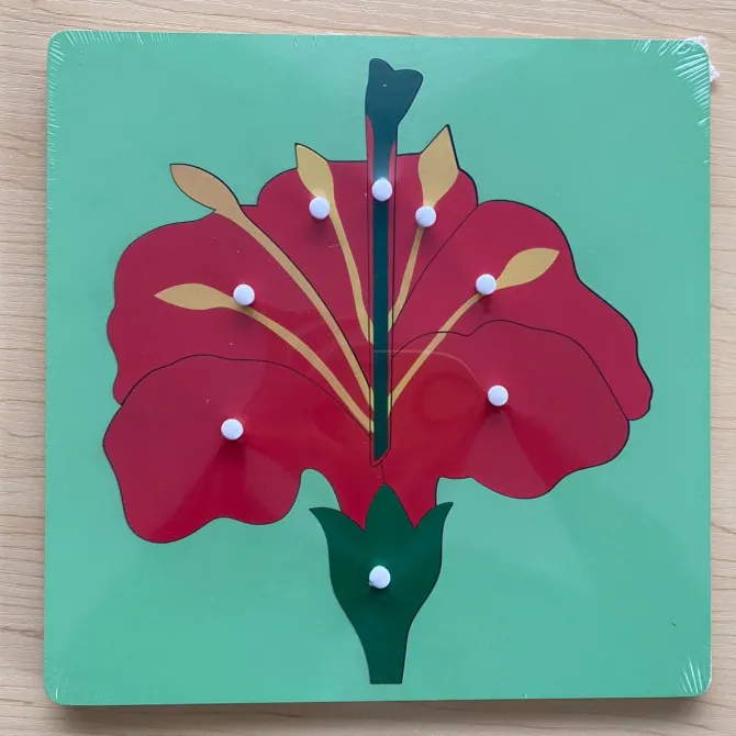 montessori_animals_and_pl_7.webp Montessori Animals And Plants Puzzle- The best Montessori Toys