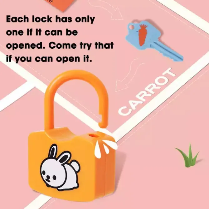 new_onshine_pairing_locks_6.webp NEW! Onshine Pairing Locks - Fine motor skills toys