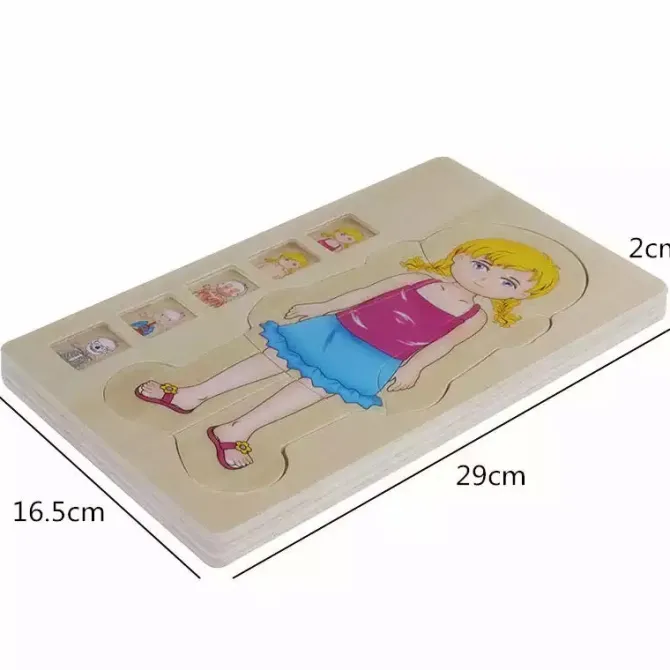 onshine_wooden_d_anatomy__6.webp Onshine Wooden 3D Anatomy Puzzle- Fine motor skills toys