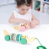 Onshine Wooden Walk-a-long Croc Wooden Pull toys Green/Pink- Fine motor skills toys