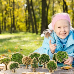 Wooden Australian Trees - Best Open Ended Play Toys