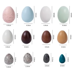 Wooden Birds’ Eggs- Open ended wooden toys