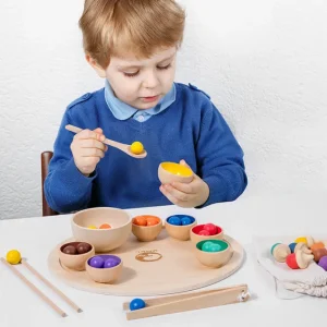 Wooden Color Sorting Game- The Best Fine Motor Toys