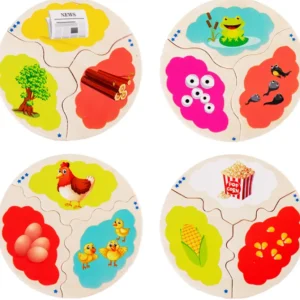 Wooden Evolution Puzzle-Mathematics toys