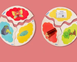 Wooden Evolution Puzzle-Mathematics toys