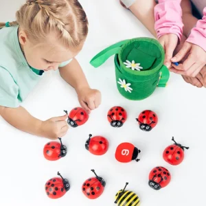 Wooden Ladybug Counting Game with Bag- Mathematics toys