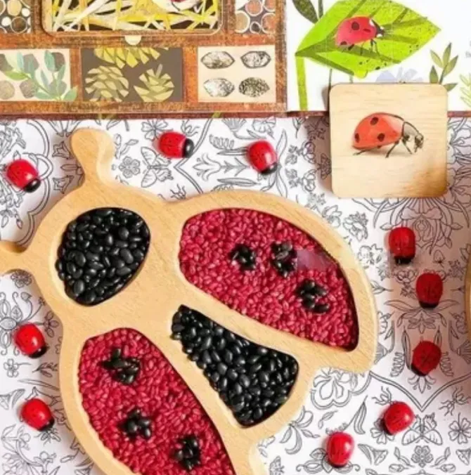 wooden_ladybug_sensory_pl_0.webp Wooden Ladybug Sensory Play Tray - Best Open Ended Play Toys
