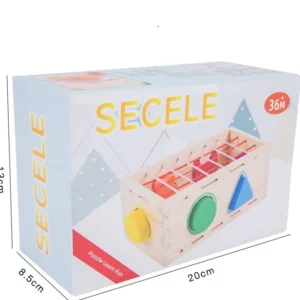 Wooden Shape Box - Mathematics Educational Toys