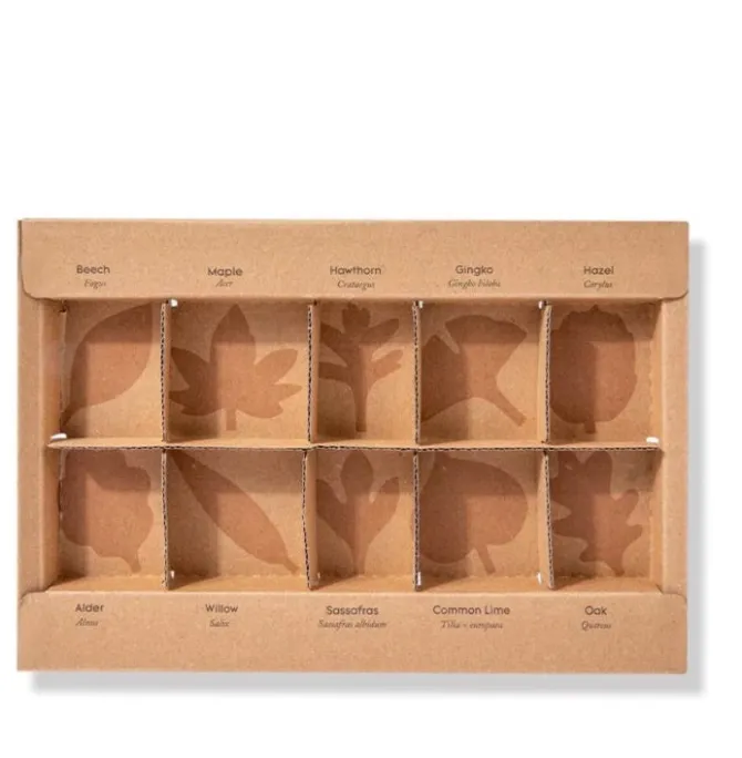 woodland_leaves__piecesop_5.webp Woodland Leaves 40 pieces-Open ended wooden toys